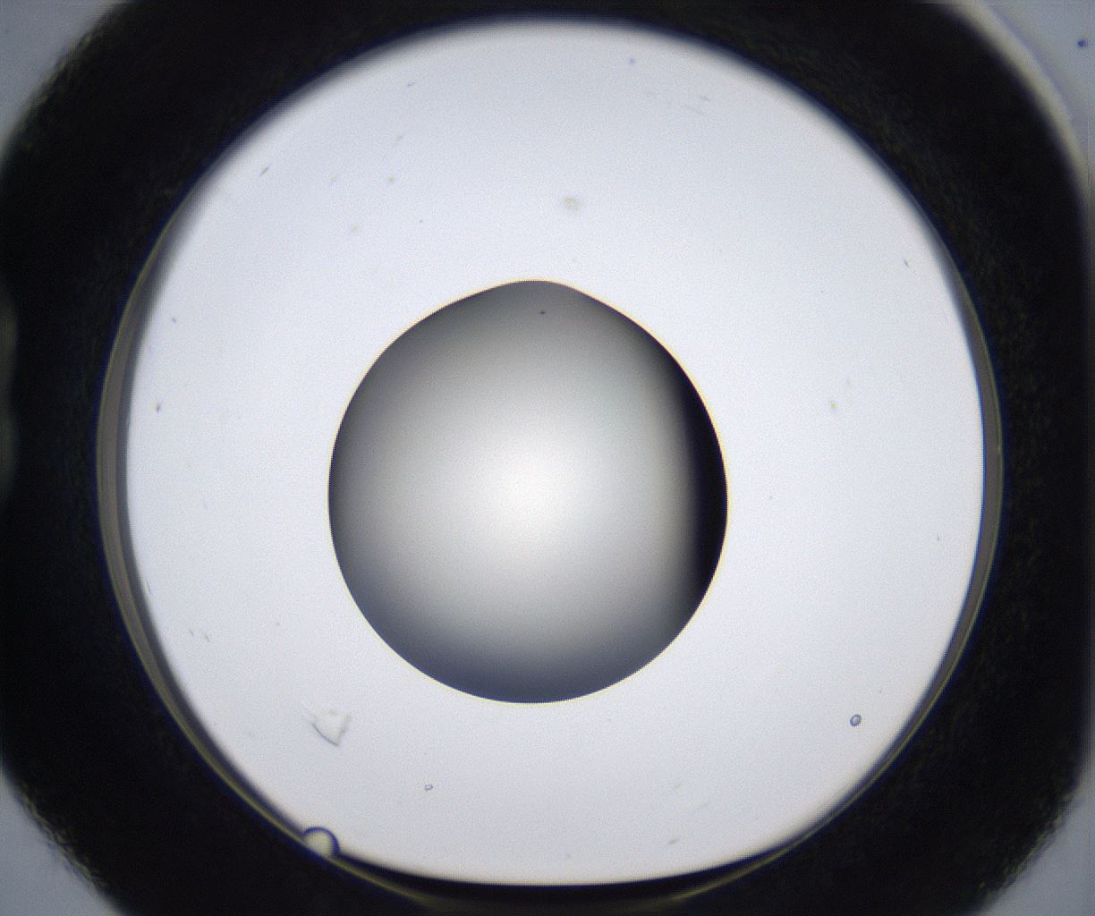 folderID287_plateID2287_batchID10814_wellNum16_profileID1_d1_r159805_ef.jpg