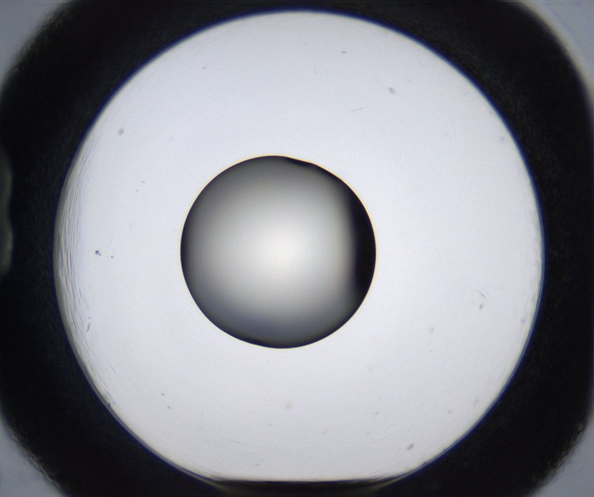 folderID287_plateID2287_batchID10814_wellNum18_profileID1_d1_r159807_ef.jpg