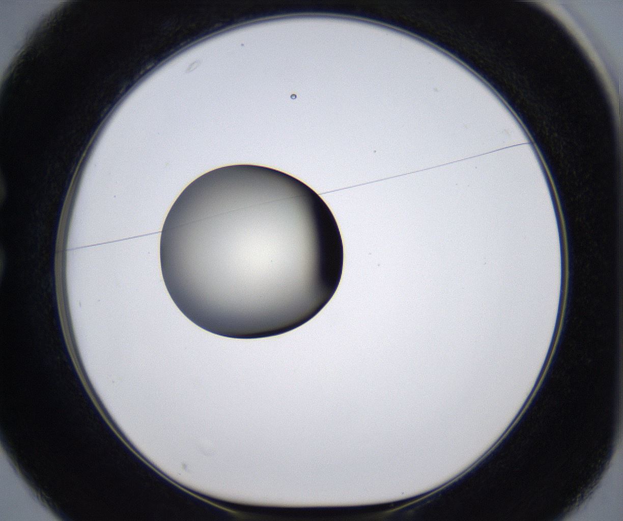 folderID287_plateID2287_batchID10814_wellNum25_profileID1_d1_r159814_ef.jpg