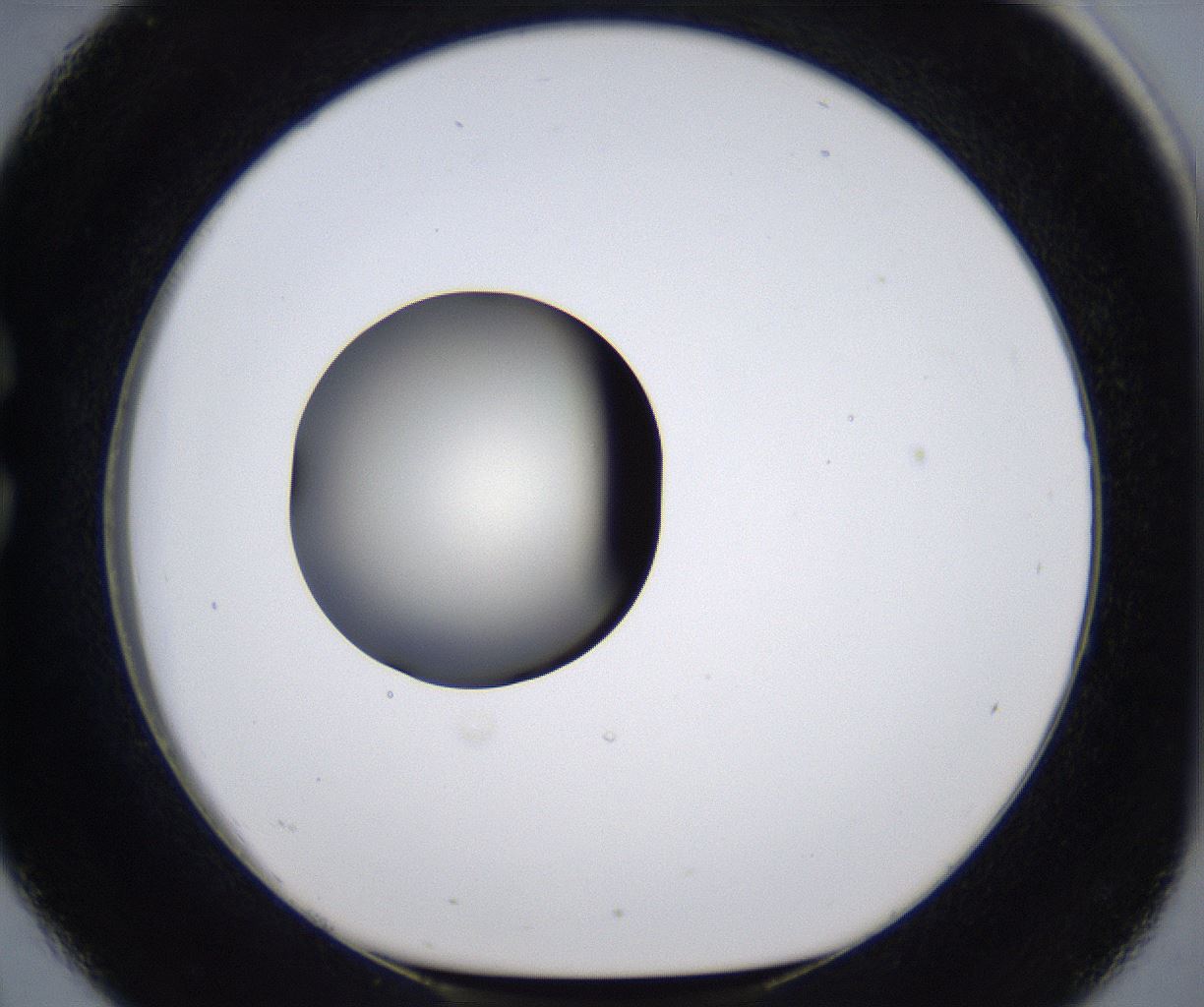folderID287_plateID2287_batchID10814_wellNum26_profileID1_d1_r159815_ef.jpg