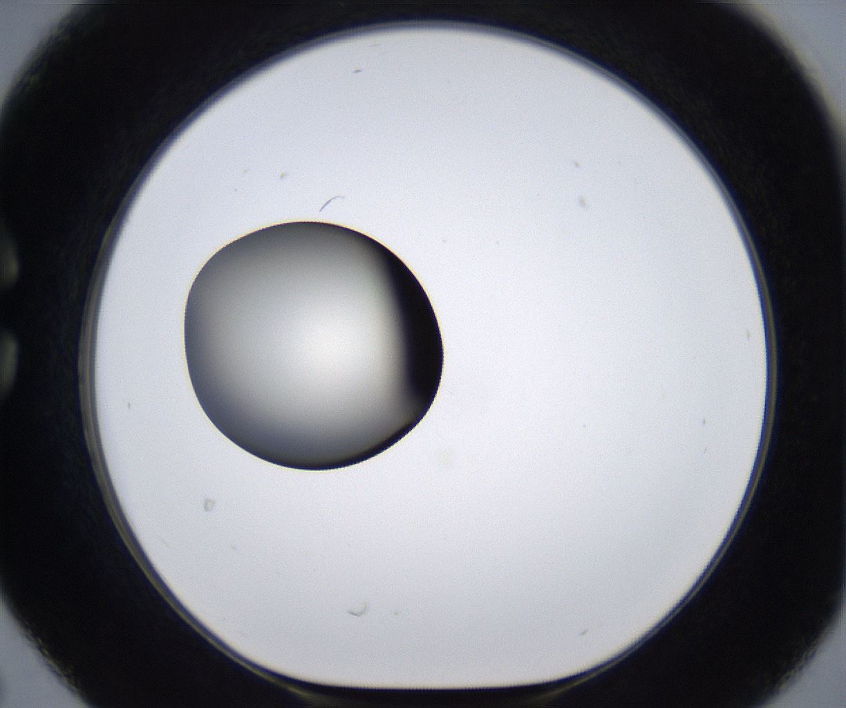 folderID287_plateID2287_batchID10814_wellNum30_profileID1_d1_r159819_ef.jpg
