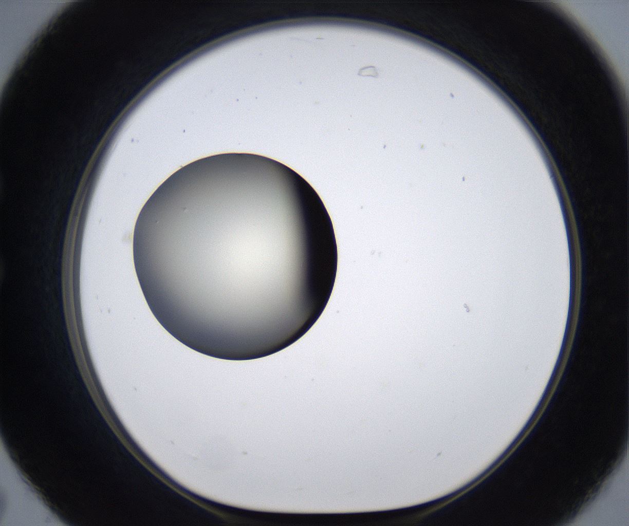 folderID287_plateID2287_batchID10814_wellNum31_profileID1_d1_r159820_ef.jpg