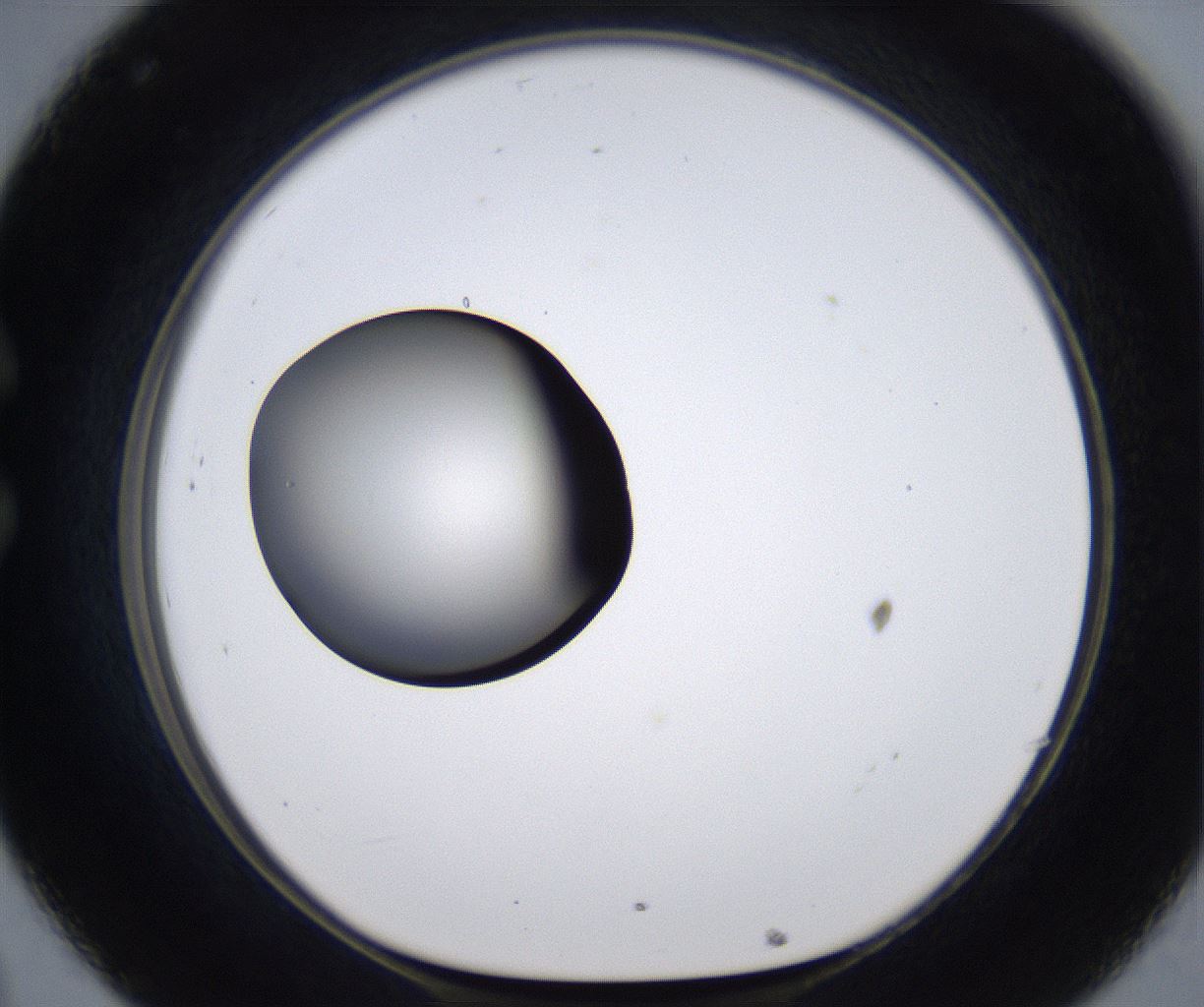 folderID287_plateID2287_batchID10814_wellNum32_profileID1_d1_r159821_ef.jpg