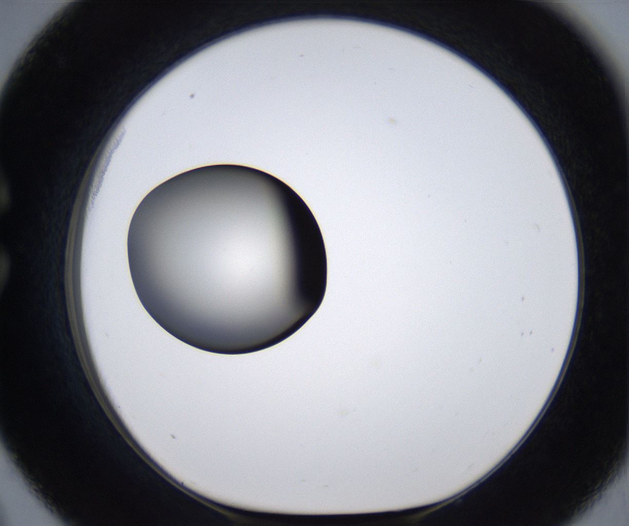 folderID287_plateID2287_batchID10814_wellNum33_profileID1_d1_r159822_ef.jpg