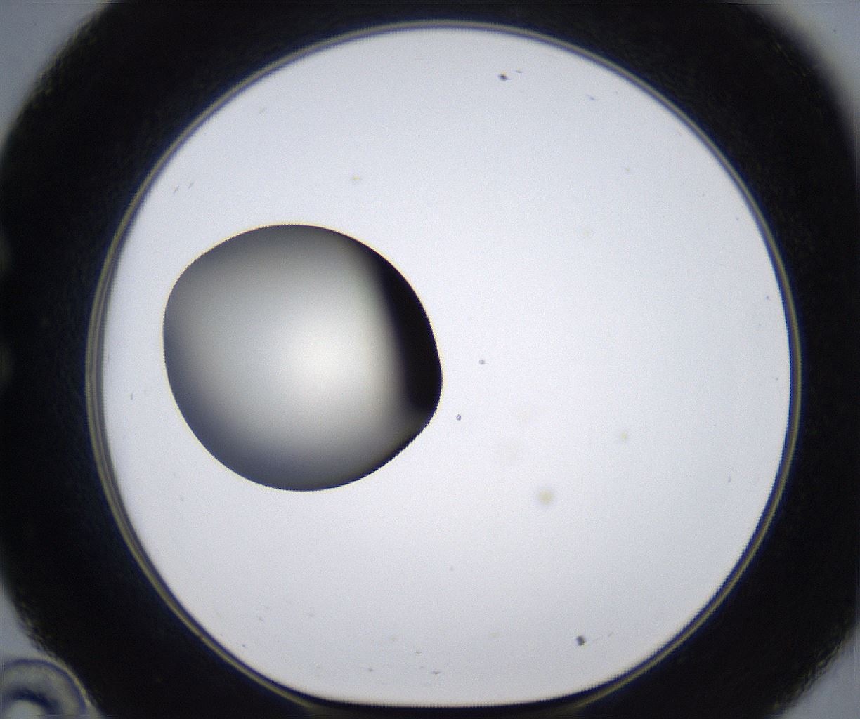 folderID287_plateID2287_batchID10814_wellNum34_profileID1_d1_r159823_ef.jpg
