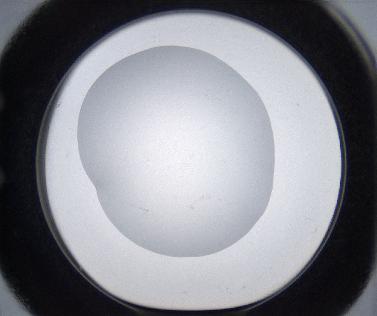 folderID287_plateID2287_batchID10814_wellNum51_profileID1_d1_r159840_ef.jpg