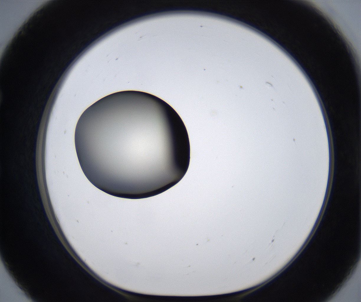 folderID287_plateID2287_batchID10814_wellNum55_profileID1_d1_r159844_ef.jpg