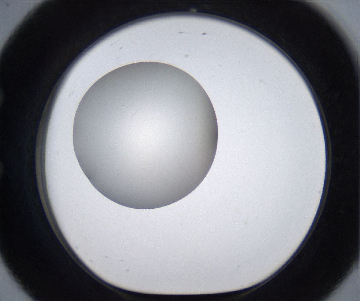 folderID287_plateID2287_batchID10814_wellNum56_profileID1_d1_r159845_ef.jpg