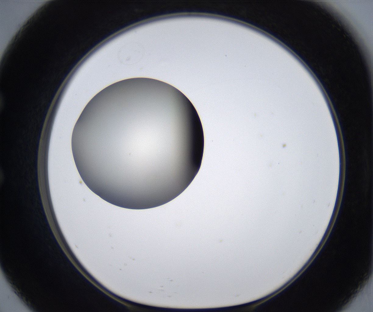 folderID287_plateID2287_batchID10814_wellNum57_profileID1_d1_r159846_ef.jpg