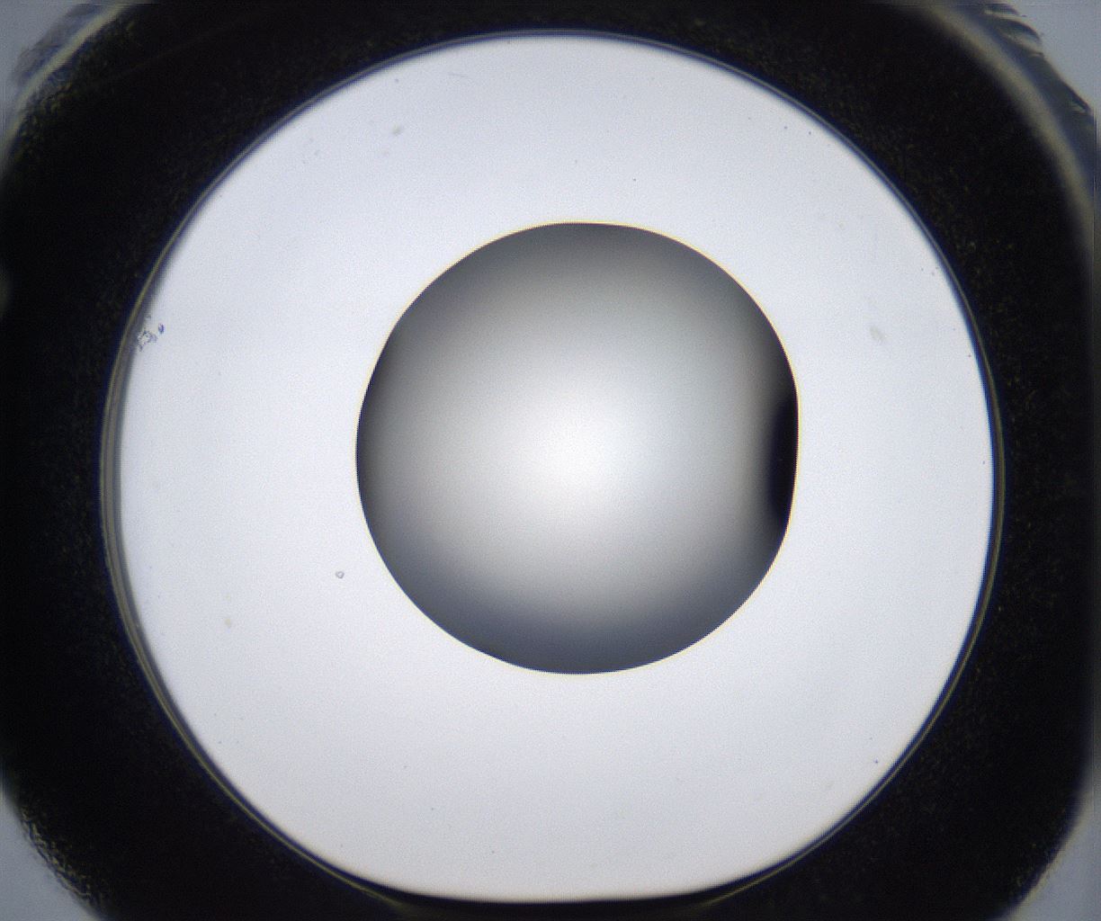 folderID287_plateID2287_batchID10814_wellNum61_profileID1_d1_r159850_ef.jpg