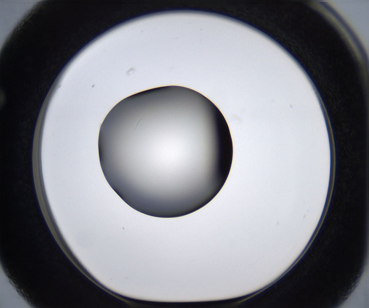 folderID287_plateID2287_batchID10814_wellNum63_profileID1_d1_r159852_ef.jpg