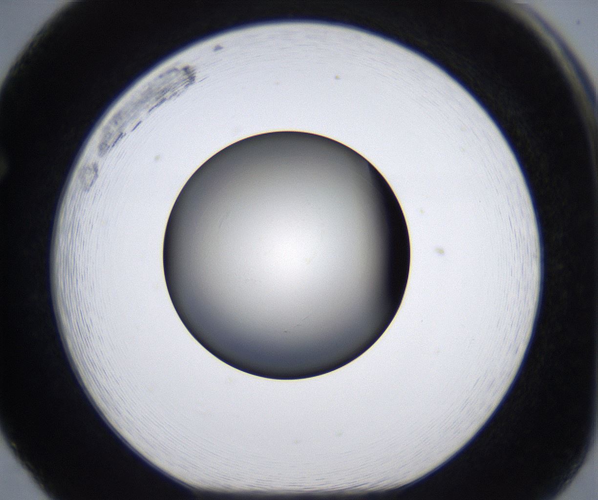 folderID287_plateID2287_batchID10814_wellNum65_profileID1_d1_r159854_ef.jpg