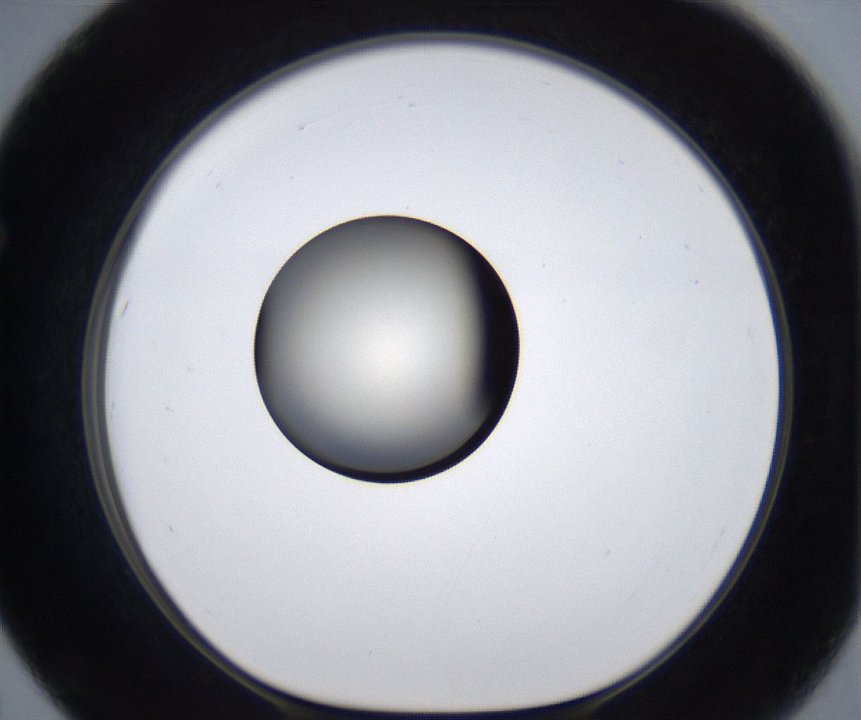 folderID287_plateID2287_batchID10814_wellNum67_profileID1_d1_r159856_ef.jpg
