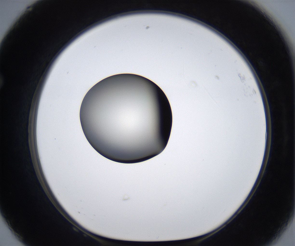 folderID287_plateID2287_batchID10814_wellNum68_profileID1_d1_r159857_ef.jpg