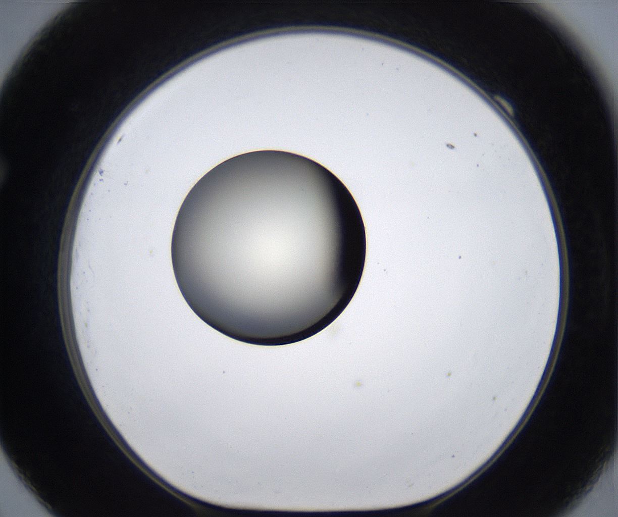 folderID287_plateID2287_batchID10814_wellNum69_profileID1_d1_r159858_ef.jpg