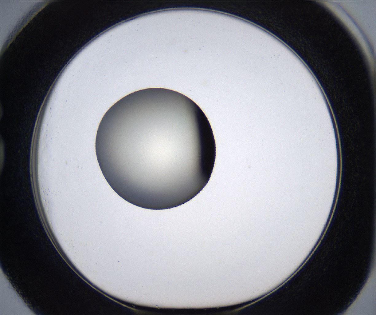 folderID287_plateID2287_batchID10814_wellNum73_profileID1_d1_r159862_ef.jpg