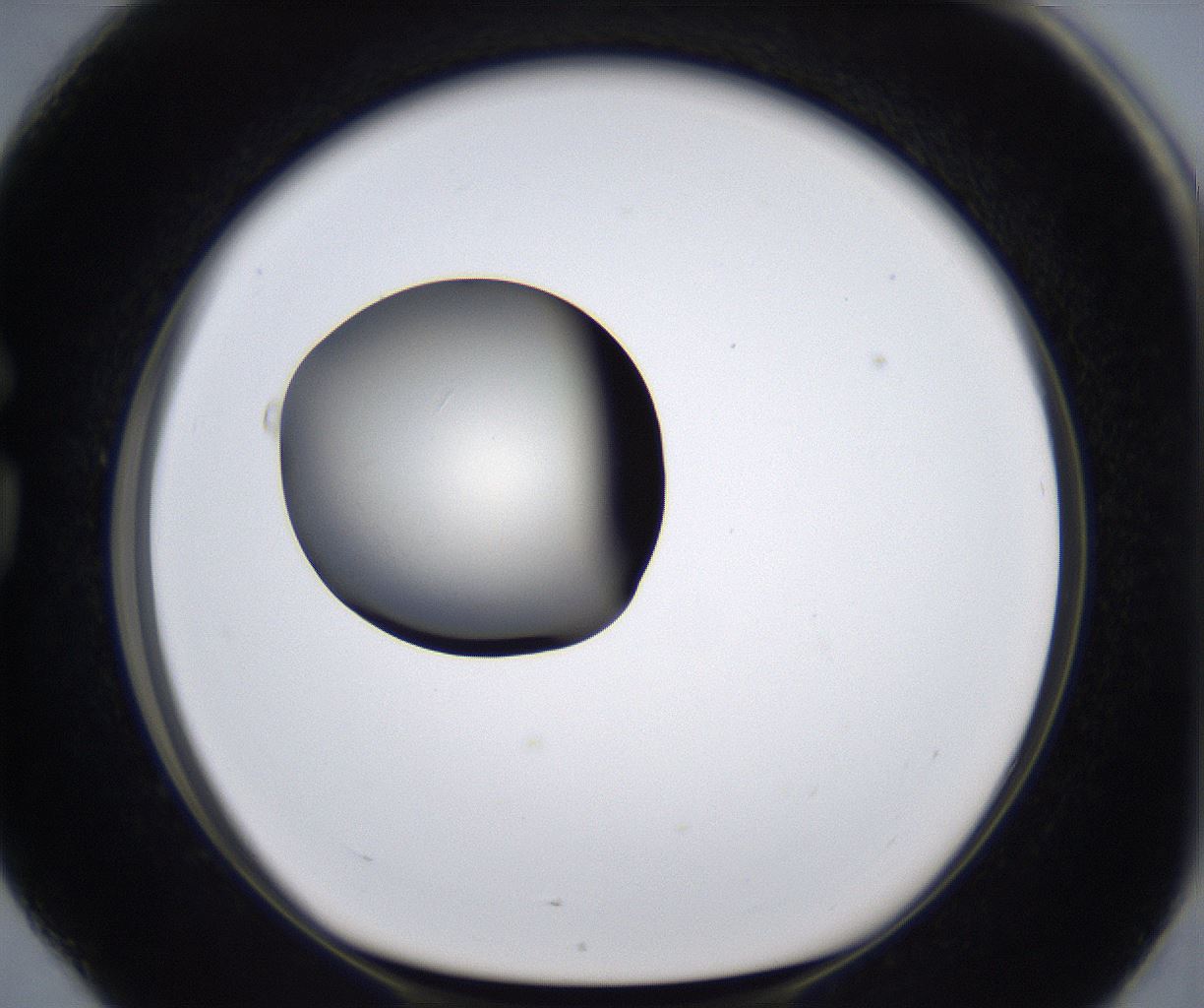 folderID287_plateID2287_batchID10814_wellNum76_profileID1_d1_r159865_ef.jpg
