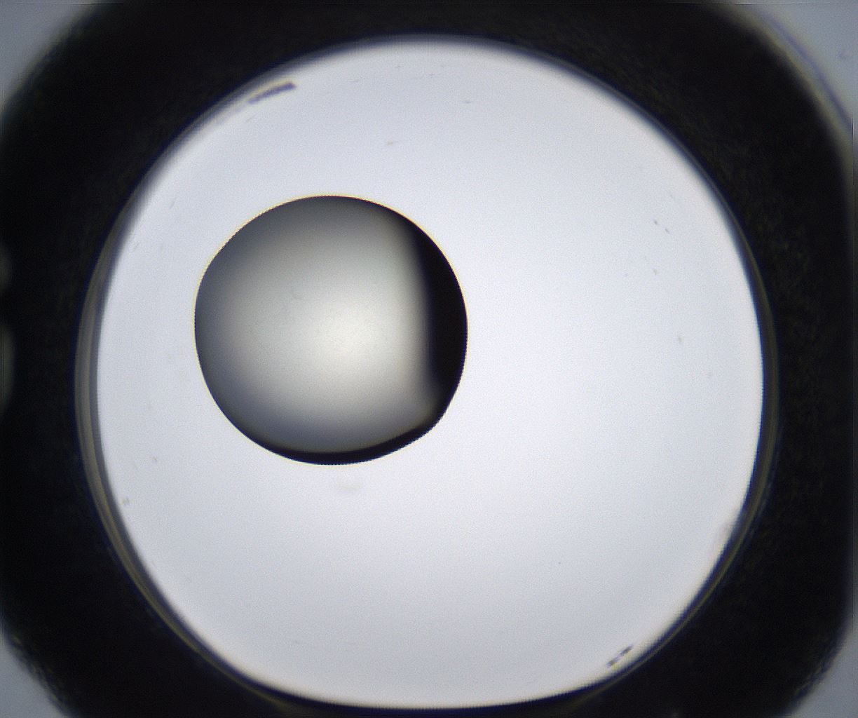 folderID287_plateID2287_batchID10814_wellNum77_profileID1_d1_r159866_ef.jpg