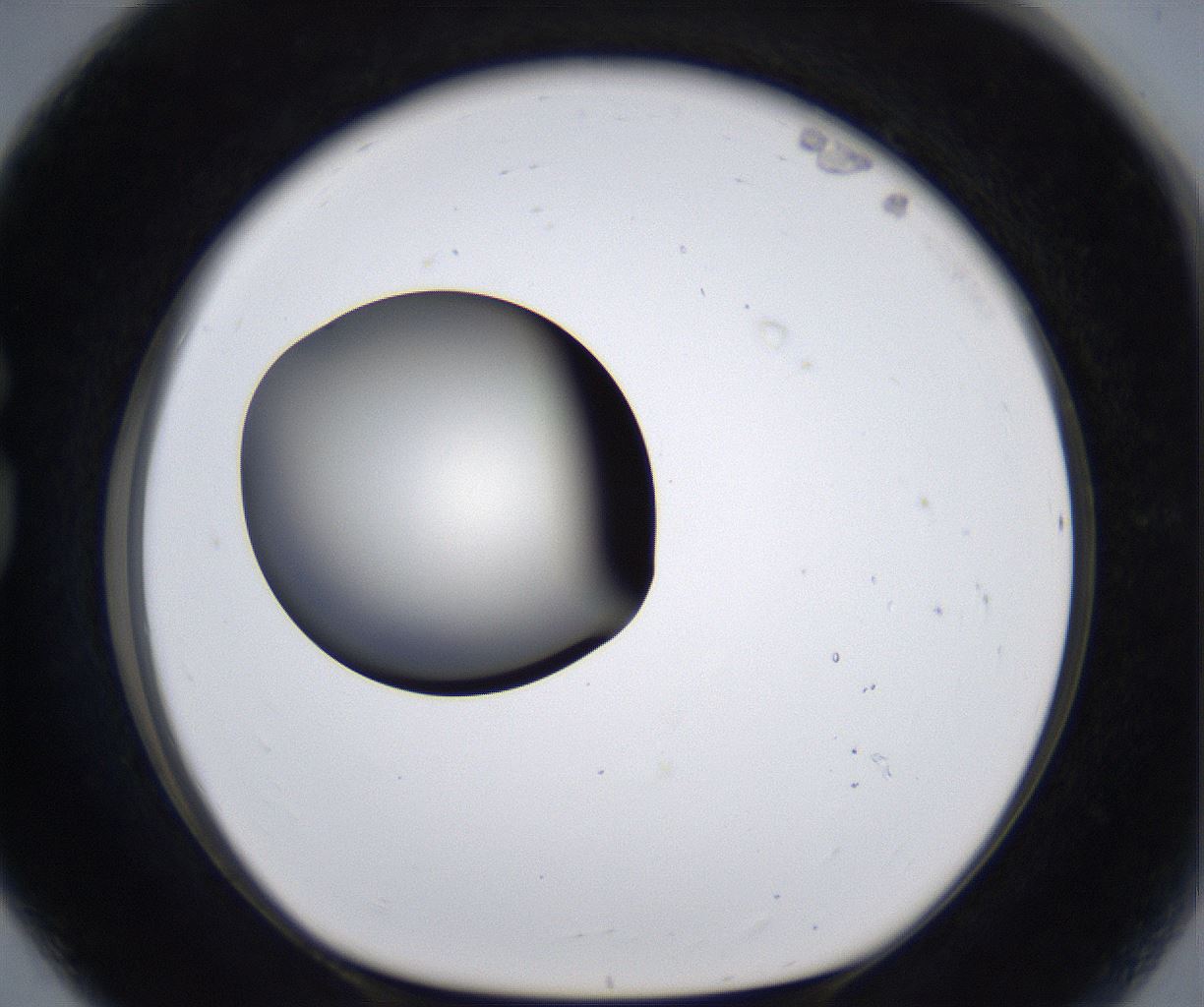folderID287_plateID2287_batchID10814_wellNum80_profileID1_d1_r159869_ef.jpg