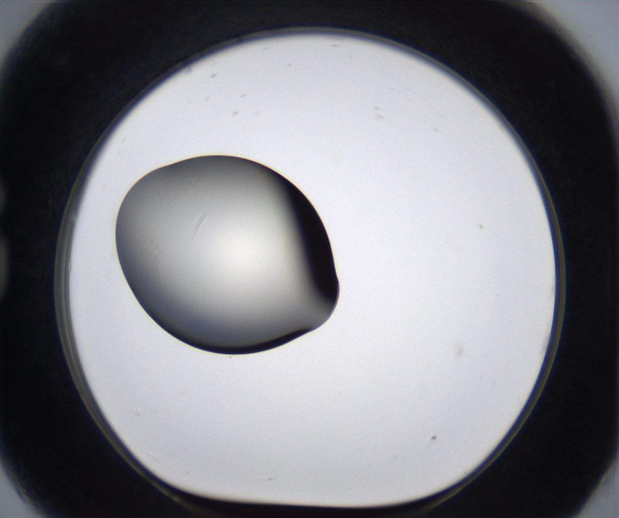 folderID287_plateID2287_batchID10814_wellNum81_profileID1_d1_r159870_ef.jpg
