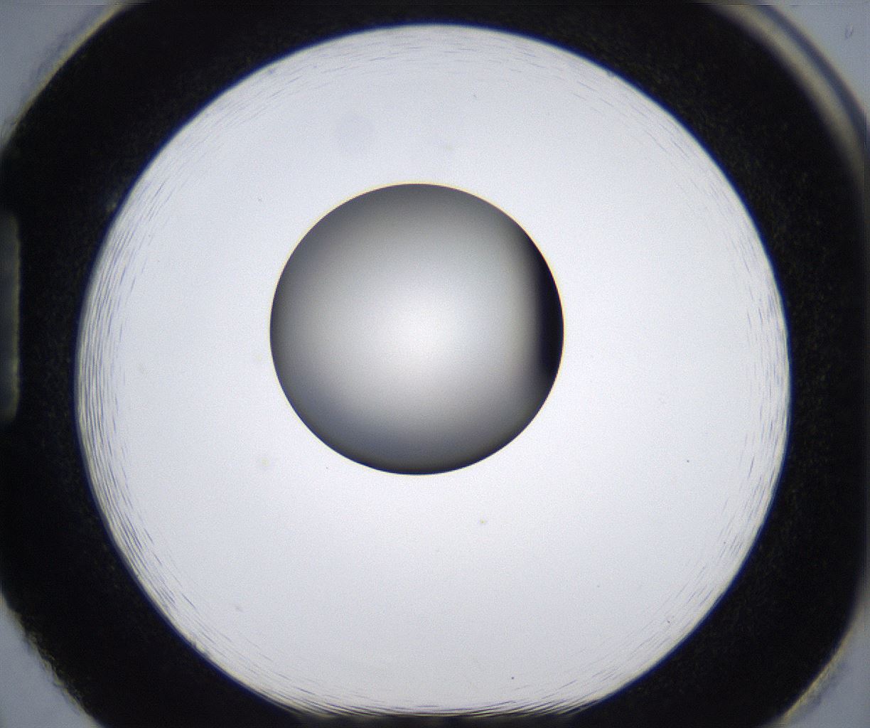folderID287_plateID2287_batchID10814_wellNum86_profileID1_d1_r159875_ef.jpg