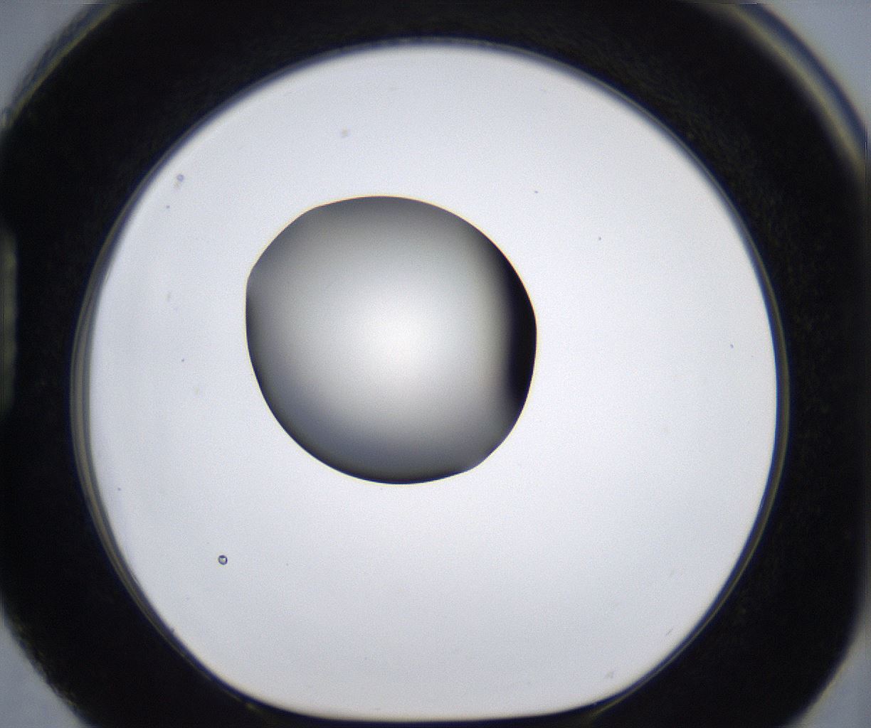 folderID287_plateID2287_batchID10814_wellNum88_profileID1_d1_r159877_ef.jpg