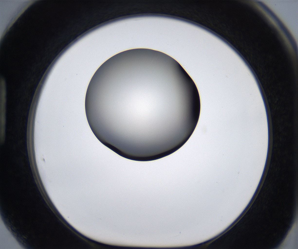 folderID287_plateID2287_batchID10814_wellNum89_profileID1_d1_r159878_ef.jpg