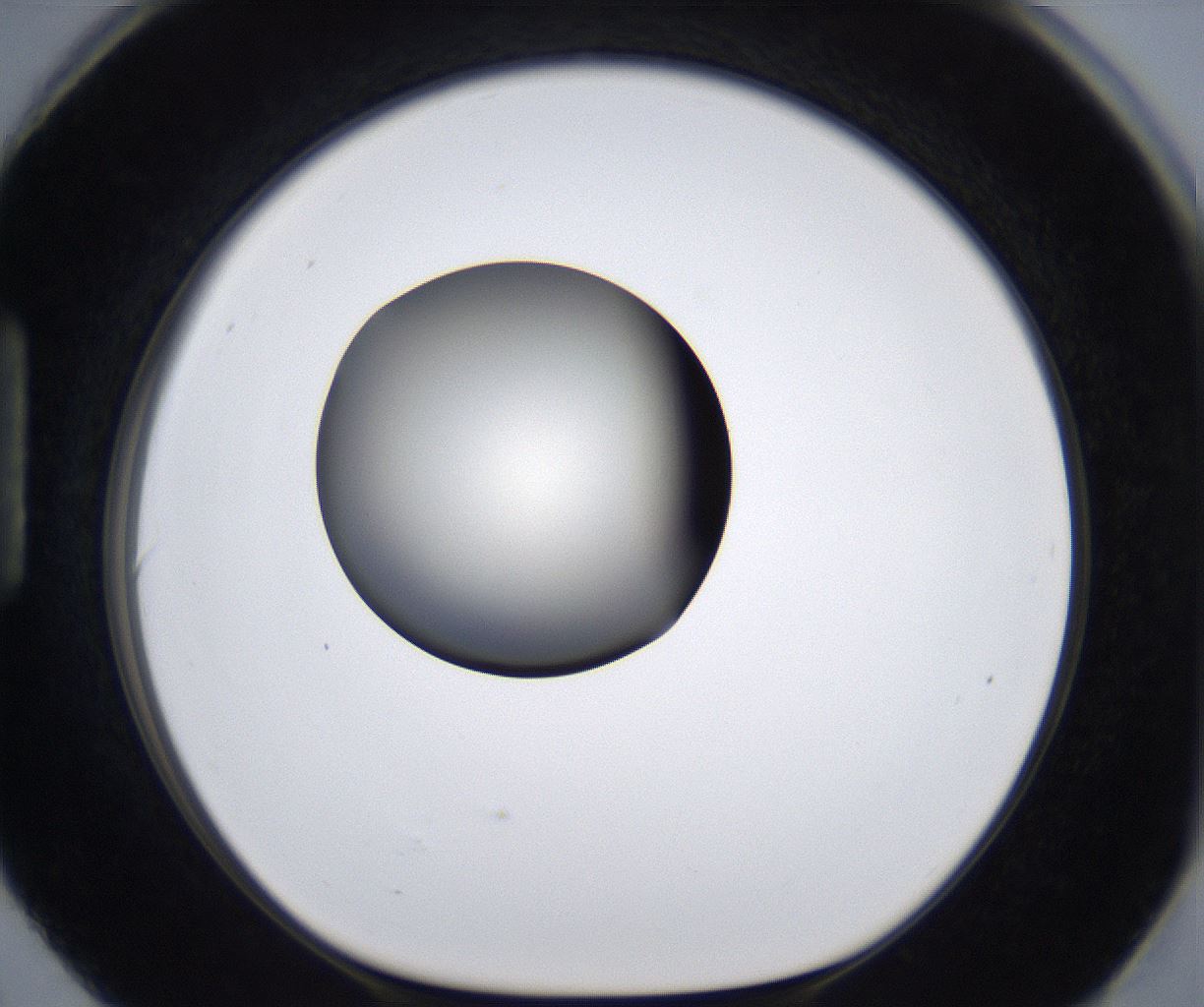 folderID287_plateID2287_batchID10814_wellNum90_profileID1_d1_r159879_ef.jpg