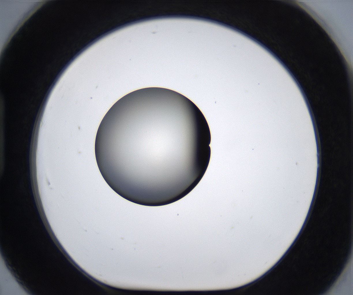 folderID287_plateID2287_batchID10814_wellNum91_profileID1_d1_r159880_ef.jpg