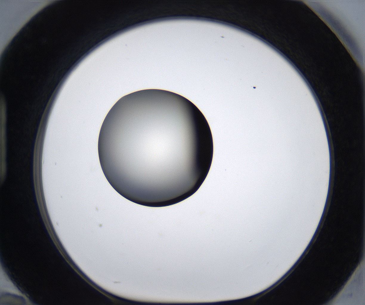 folderID287_plateID2287_batchID10814_wellNum94_profileID1_d1_r159883_ef.jpg