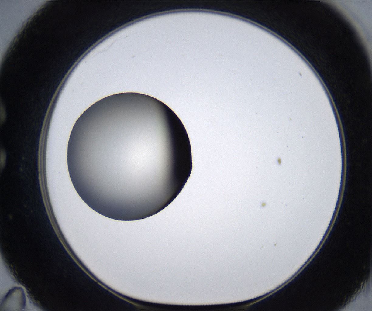 folderID287_plateID2287_batchID10814_wellNum35_profileID1_d1_r159824_ef.jpg