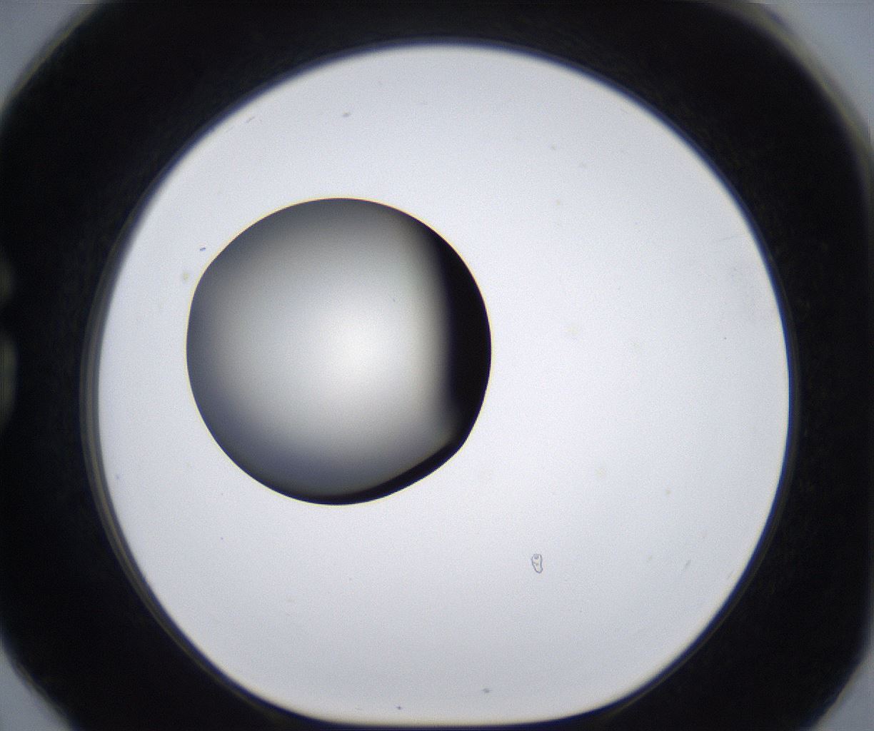folderID287_plateID2287_batchID10814_wellNum78_profileID1_d1_r159867_ef.jpg