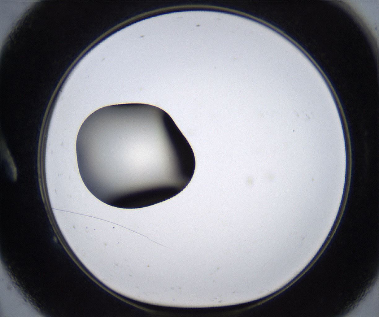 folderID287_plateID2287_batchID10814_wellNum9_profileID1_d1_r159798_ef.jpg