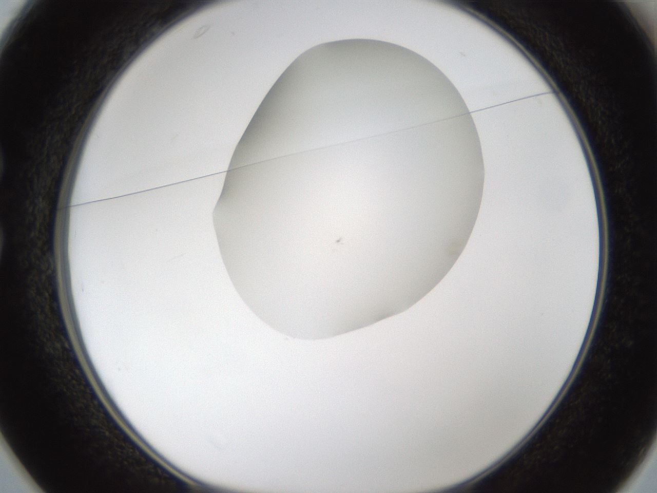 folderID288_plateID1288_batchID4277_wellNum25_profileID1_d1_r77488_ef.jpg