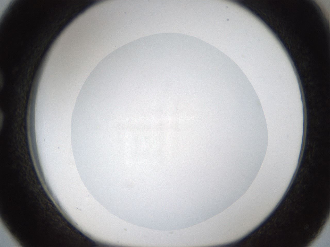 folderID288_plateID1288_batchID4277_wellNum26_profileID1_d1_r77489_ef.jpg