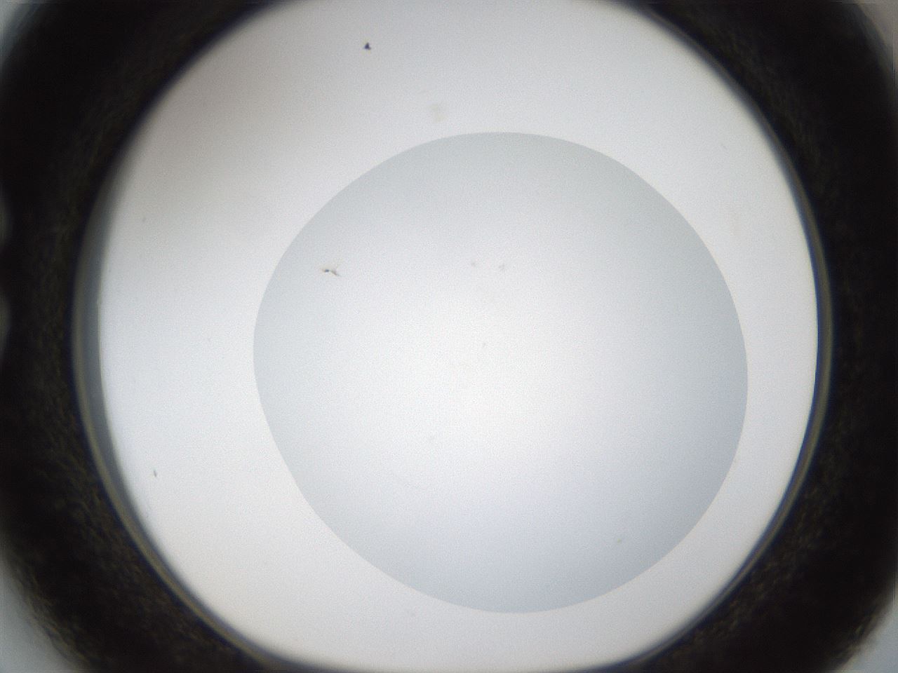 folderID288_plateID1288_batchID4277_wellNum27_profileID1_d1_r77490_ef.jpg