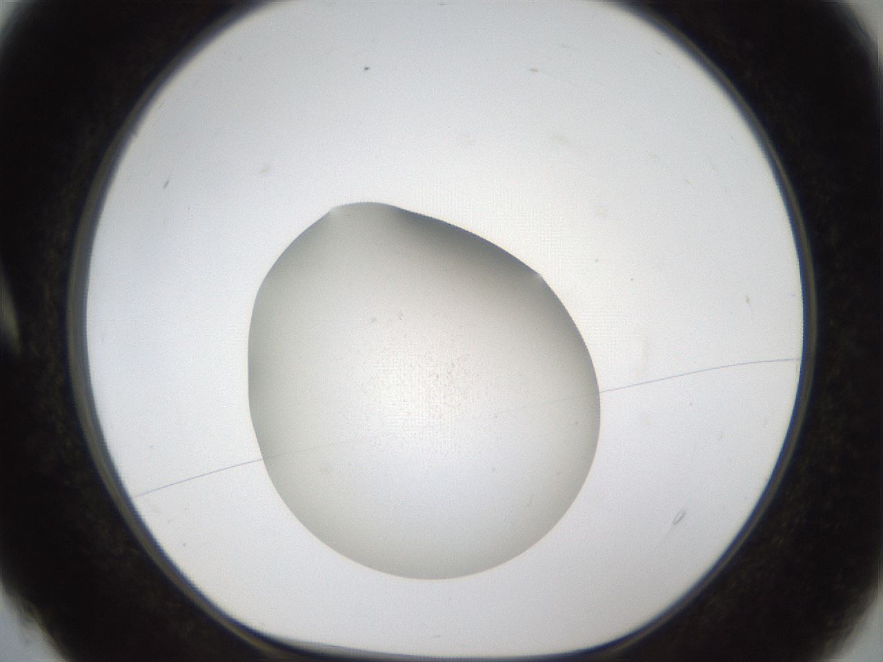 folderID288_plateID1288_batchID4277_wellNum4_profileID1_d1_r77467_ef.jpg