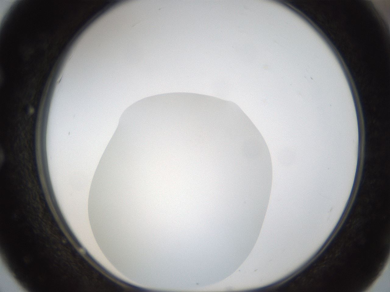 folderID288_plateID1288_batchID4277_wellNum51_profileID1_d1_r77514_ef.jpg