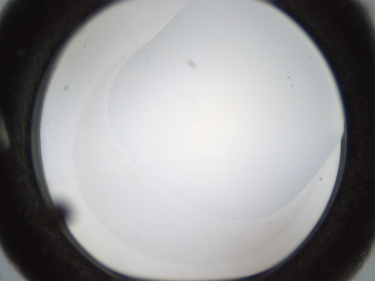 folderID288_plateID1288_batchID4277_wellNum5_profileID1_d1_r77468_ef.jpg