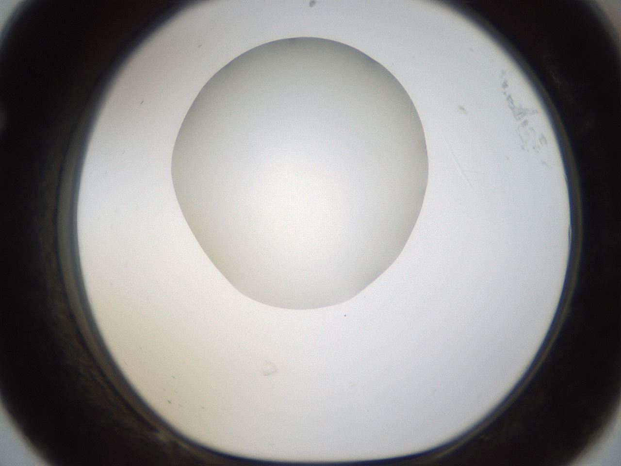 folderID288_plateID1288_batchID4277_wellNum68_profileID1_d1_r77531_ef.jpg
