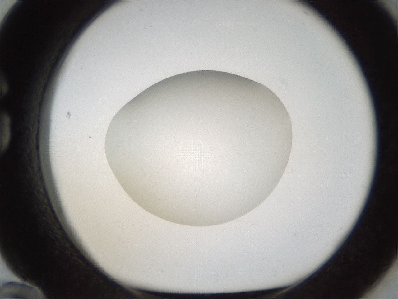 folderID288_plateID1288_batchID4277_wellNum84_profileID1_d1_r77547_ef.jpg