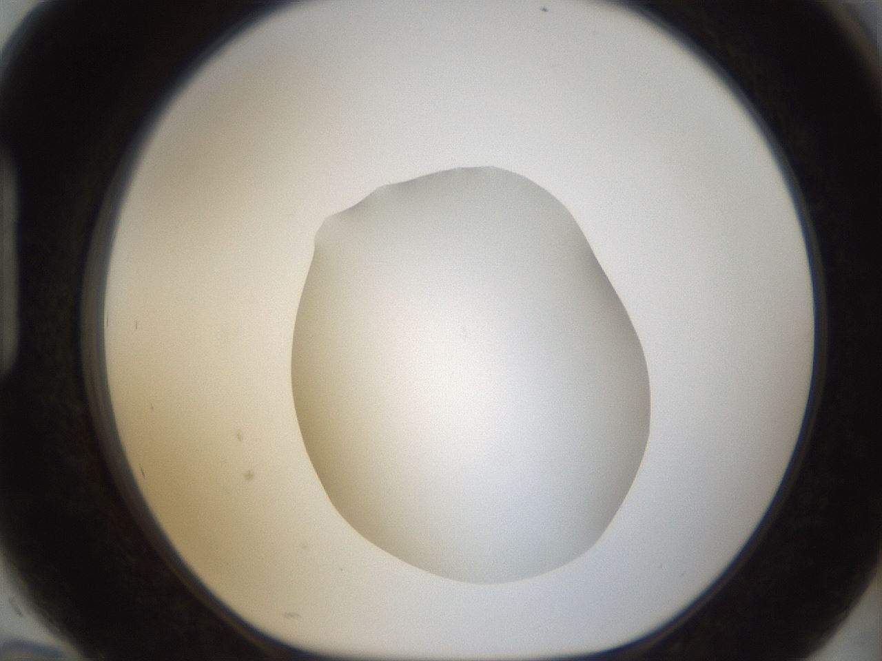 folderID288_plateID1288_batchID4277_wellNum94_profileID1_d1_r77557_ef.jpg