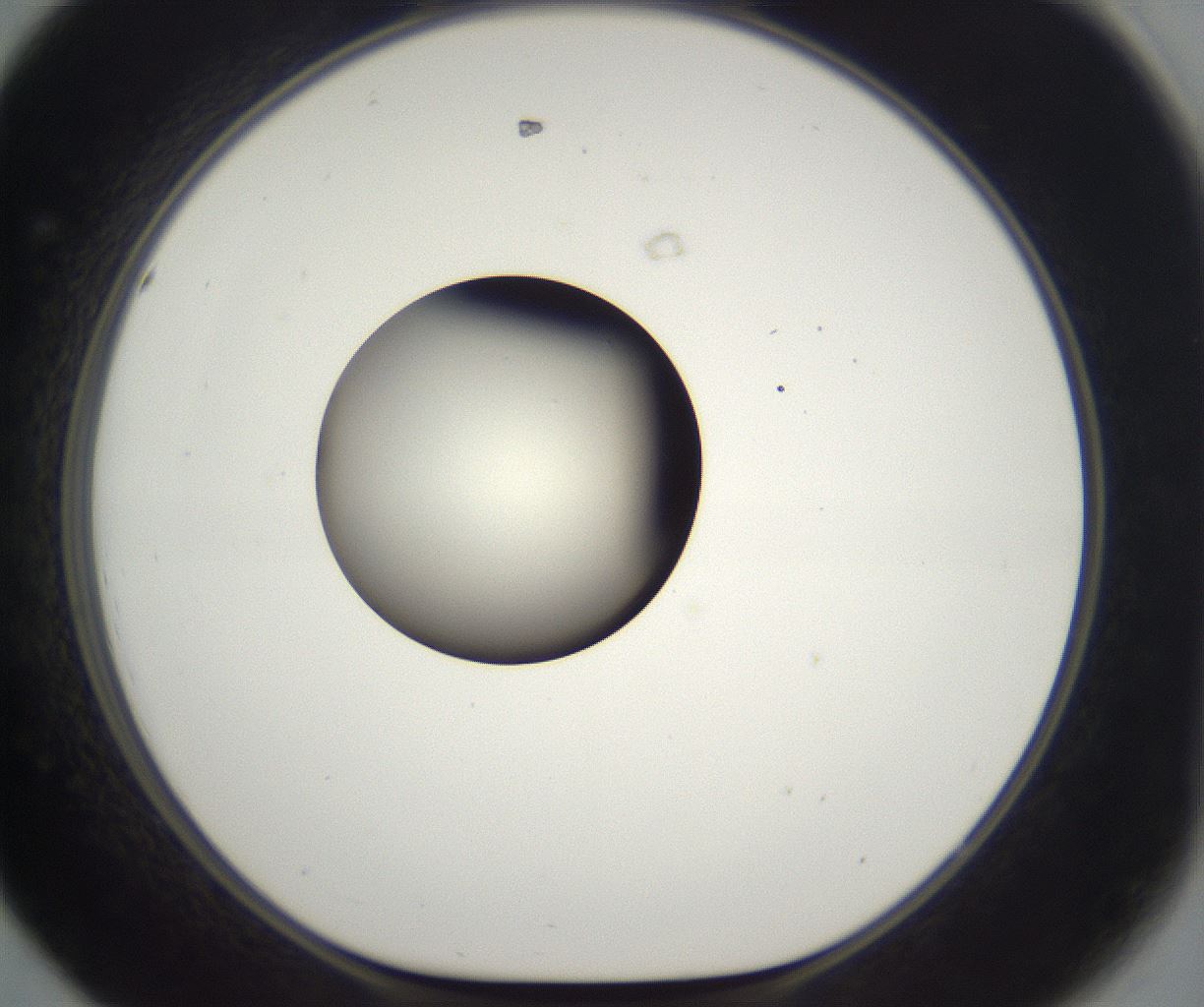 folderID288_plateID2288_batchID10842_wellNum44_profileID1_d1_r160601_ef.jpg