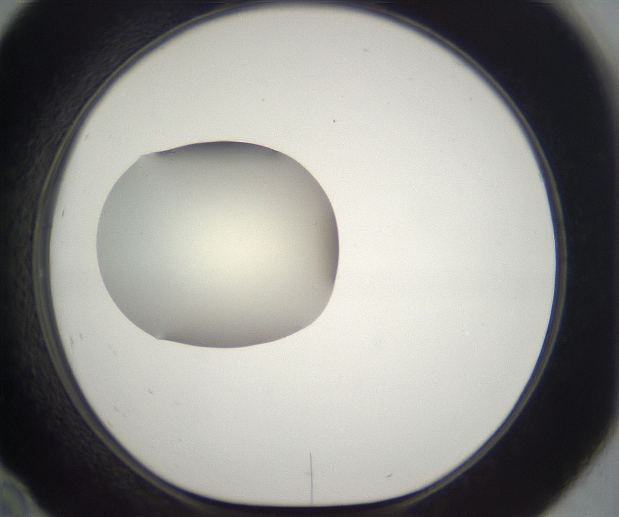 folderID288_plateID2288_batchID10842_wellNum46_profileID1_d1_r160603_ef.jpg