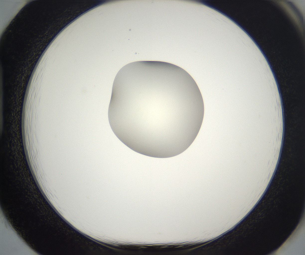 folderID288_plateID2288_batchID10842_wellNum85_profileID1_d1_r160642_ef.jpg