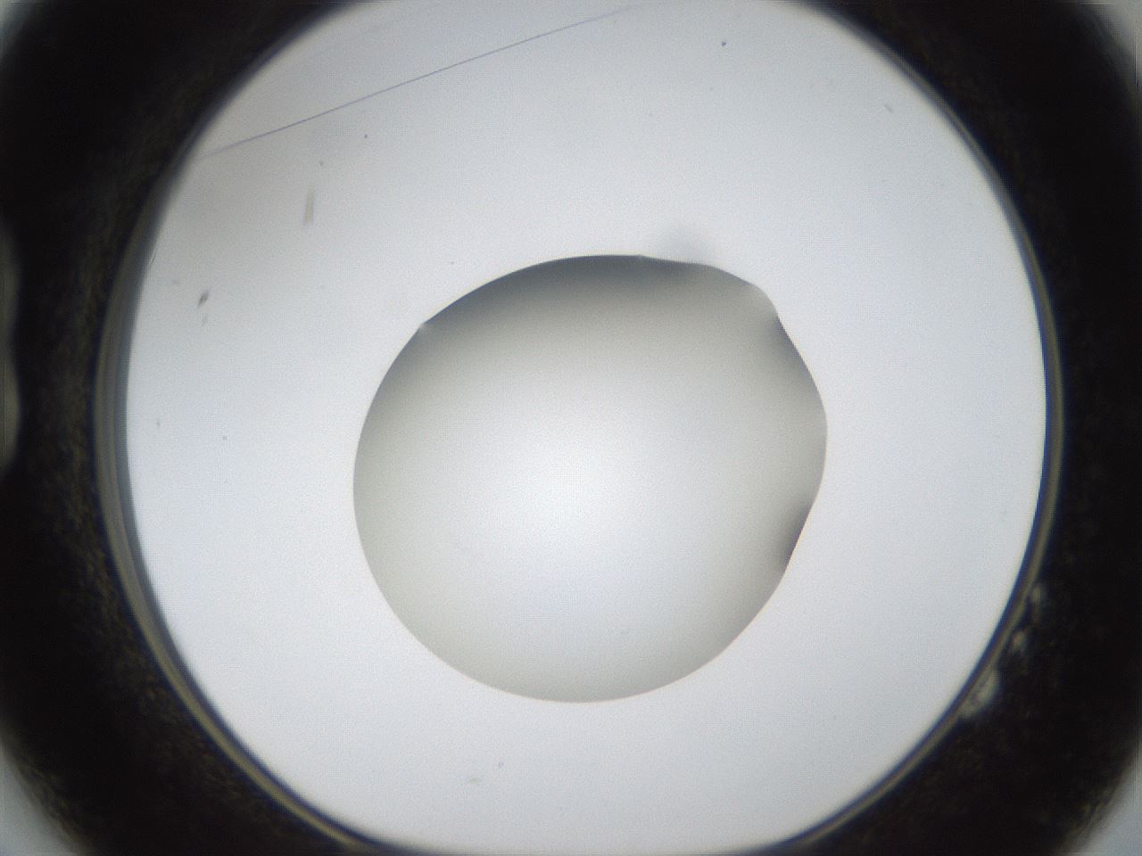 folderID289_plateID1289_batchID4274_wellNum14_profileID1_d1_r77285_ef.jpg
