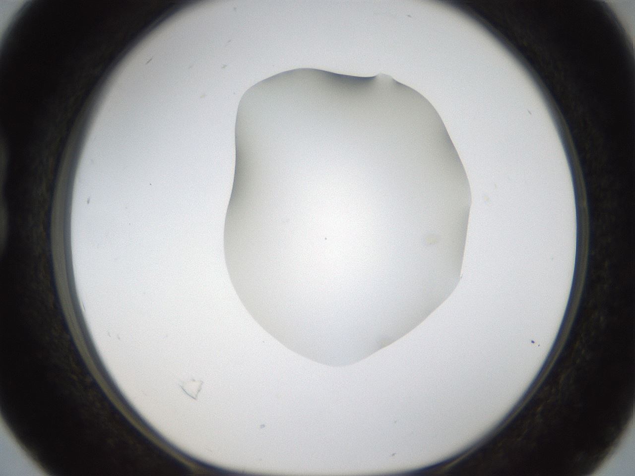 folderID289_plateID1289_batchID4274_wellNum16_profileID1_d1_r77287_ef.jpg