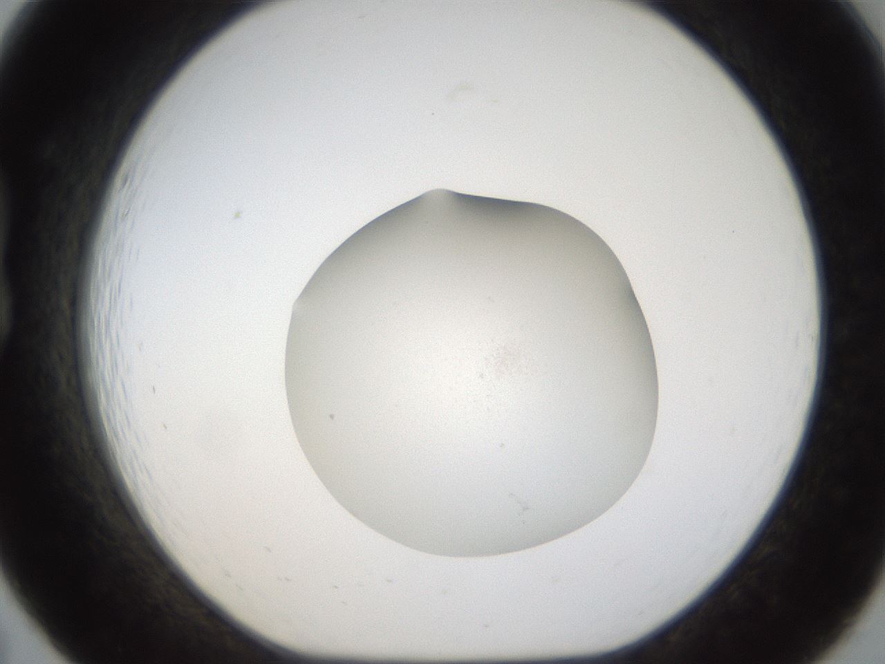 folderID289_plateID1289_batchID4274_wellNum19_profileID1_d1_r77290_ef.jpg