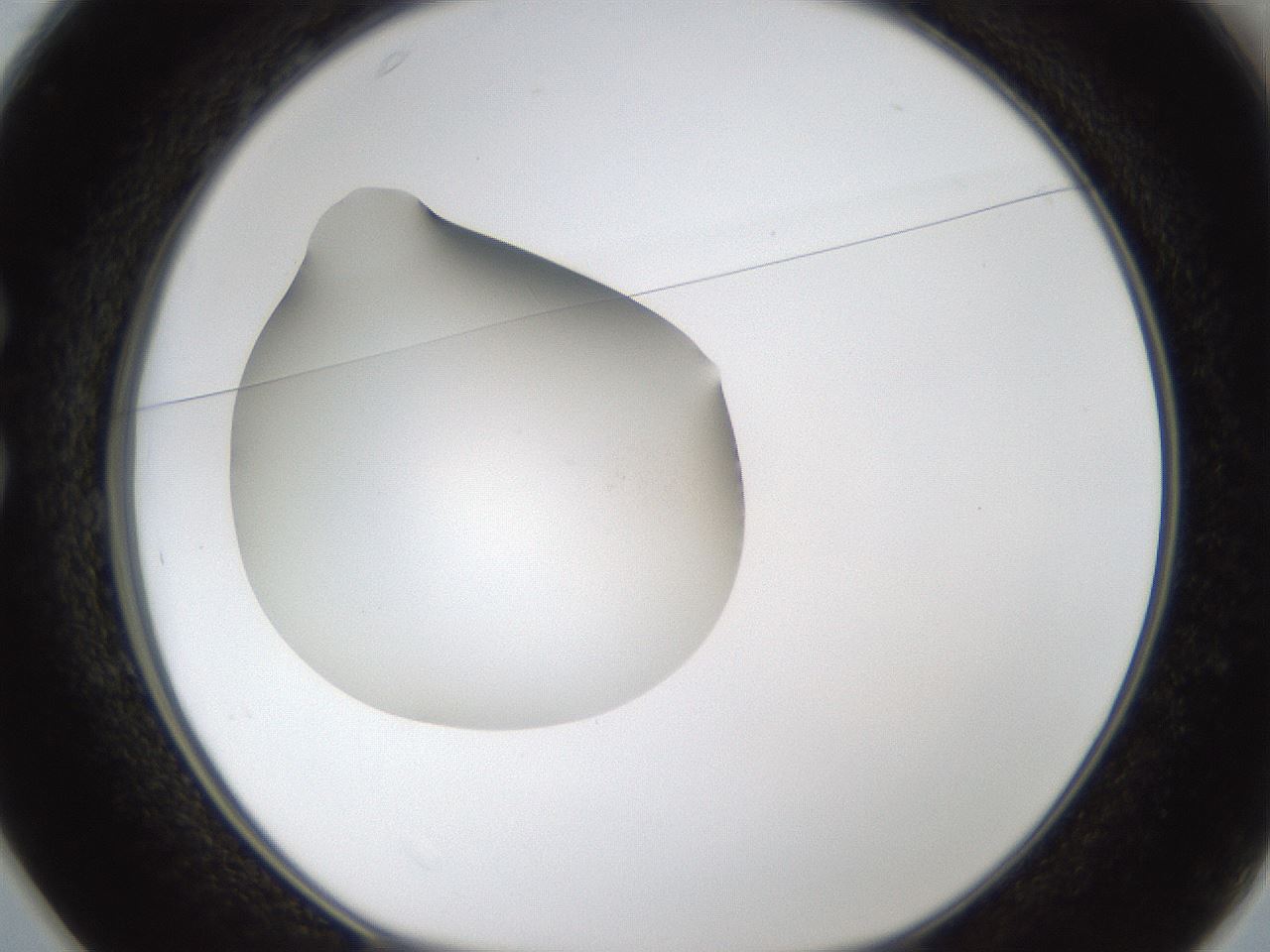 folderID289_plateID1289_batchID4274_wellNum25_profileID1_d1_r77296_ef.jpg