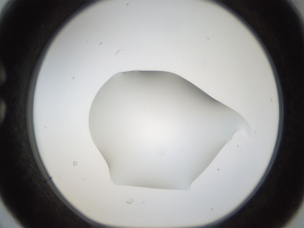 folderID289_plateID1289_batchID4274_wellNum30_profileID1_d1_r77301_ef.jpg
